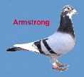 Armstrong_blue
